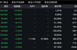 货币ETF剧烈波动：高溢价下的风险与监管